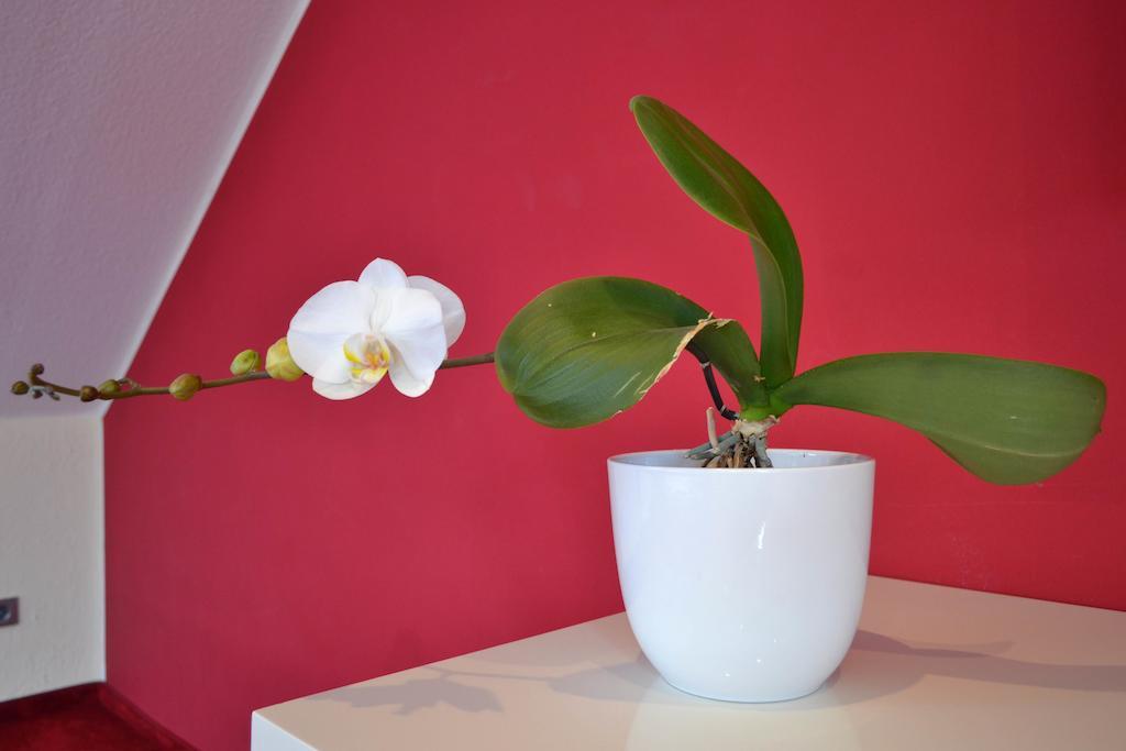 Loft * Pulheim